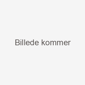 Træbriketter
